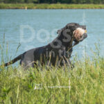 M40 5-16-26-4 Brody