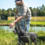 M40 5-16-26-5 Brody