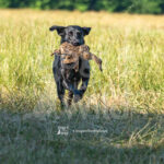 S1 5-16-26-5 – Reggie