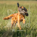 S17 5-16-26-1 Addie