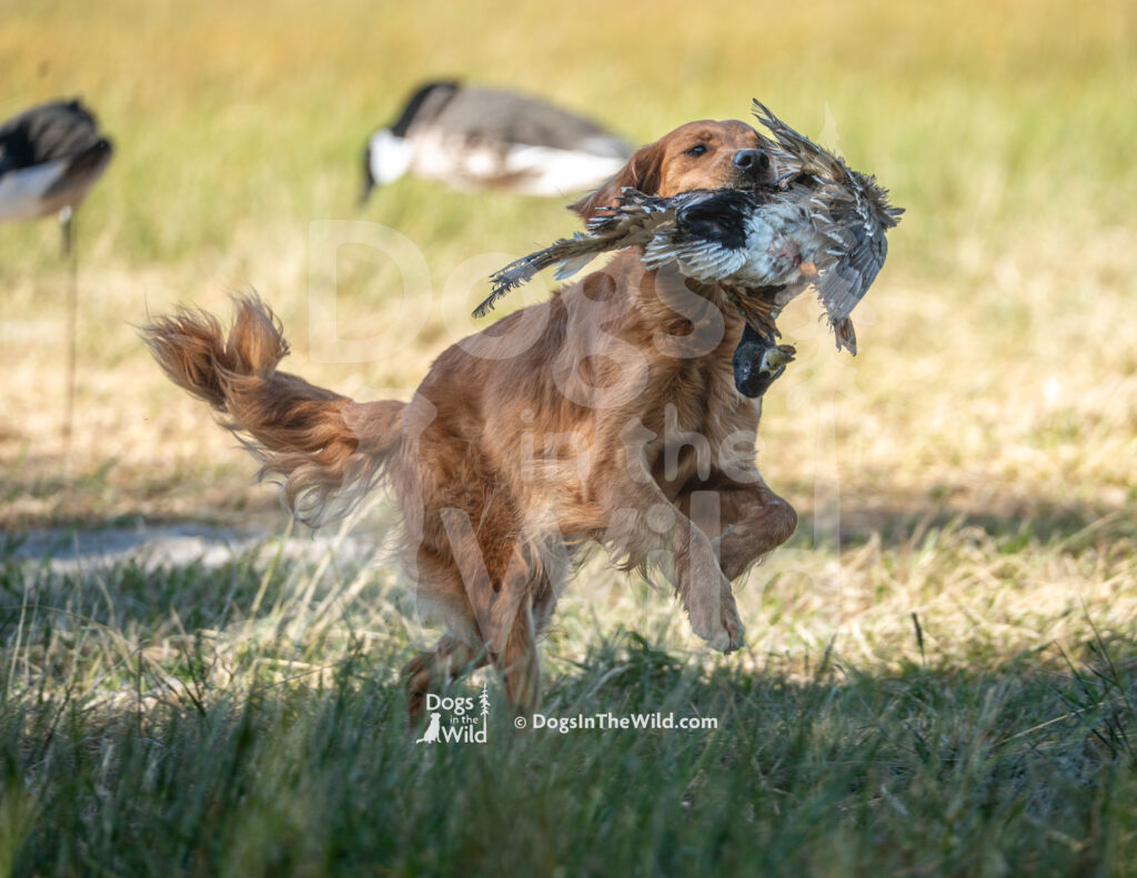 S17 5-16-26-2 Addie