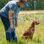 S17 5-16-26-3 Addie