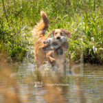 S17 5-16-26-4 Addie