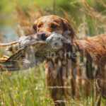 S17 5-16-26-5 Addie