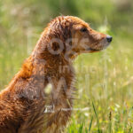 S17 5-16-26-6 Addie