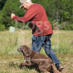 S18 5-16-26-3 Vito