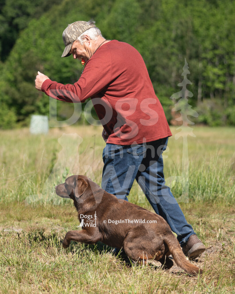 S18 5-16-26-3 Vito
