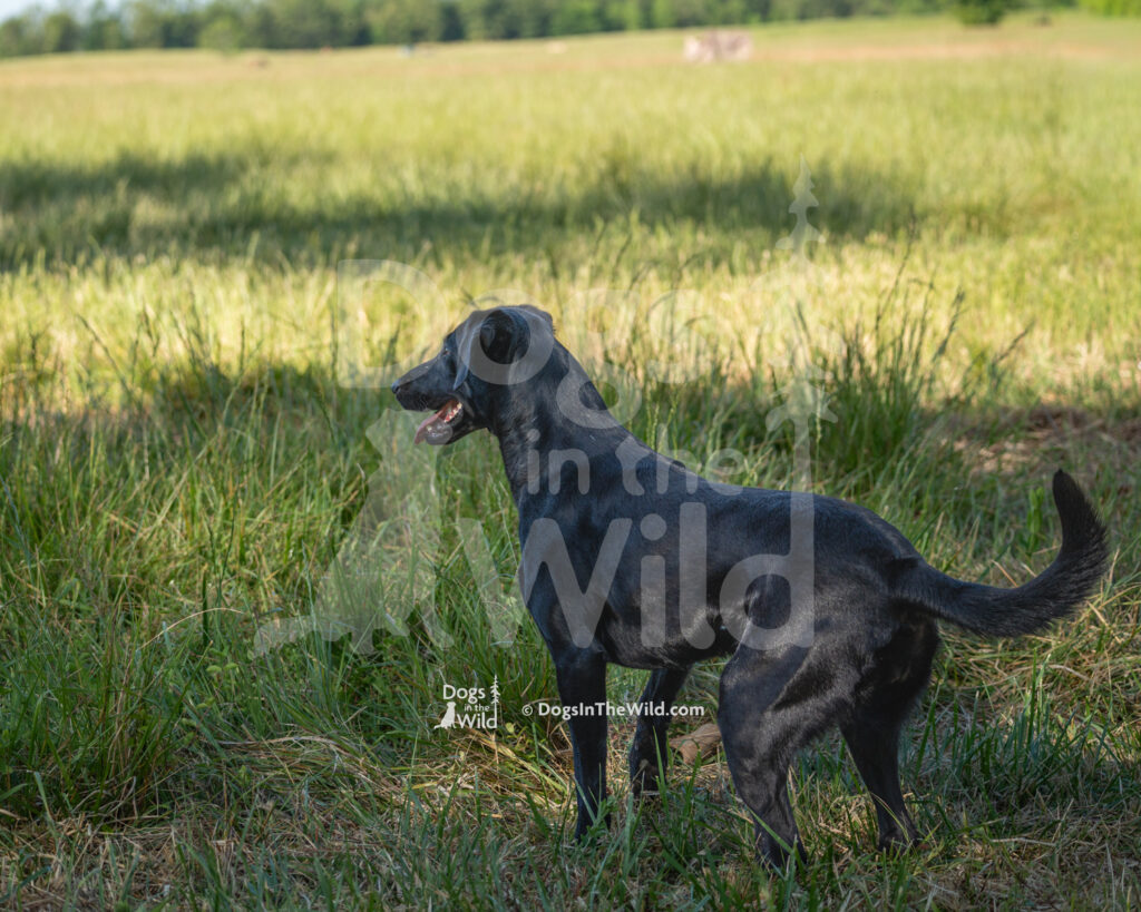 S2 5-16-26 – Gypsy