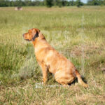 S20 5-16-26-1 Oakley