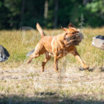 S20 5-16-26-4 Oakley