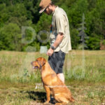 S20 5-16-26-5 Oakley