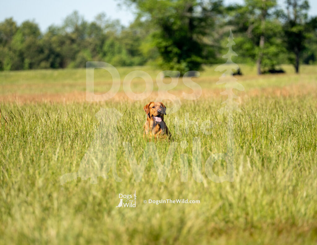 S20 5-16-26-6 Oakley