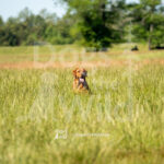 S20 5-16-26-6 Oakley