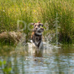S3 5-16-26-7 Kelly