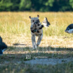 S4 5-16-26-1  – Jens