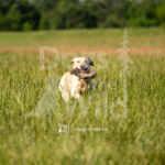 S4 5-16-26-3 – Jens