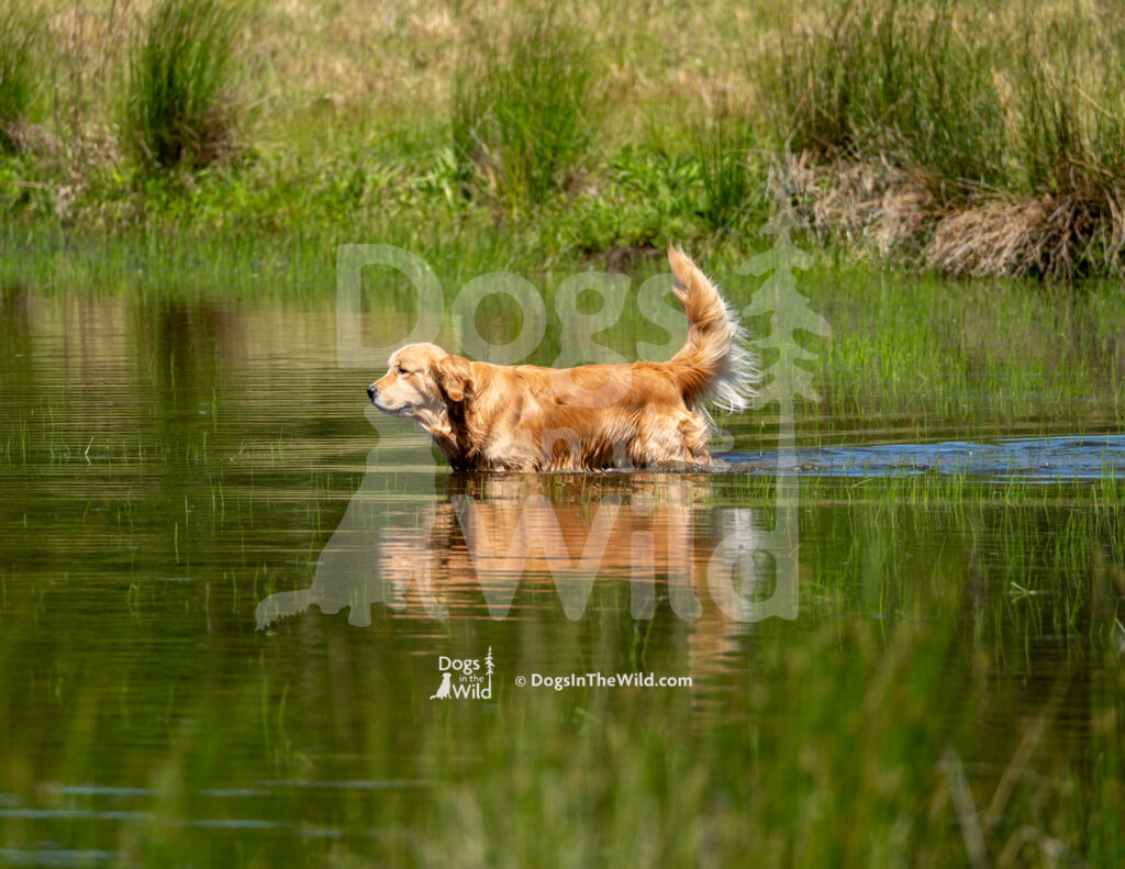 S5 5-16-26-8 – Splash