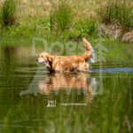 S5 5-16-26-8 – Splash