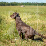 S7 5-16-26-1 – Gus