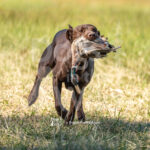 S7 5-16-26-2 – Gus