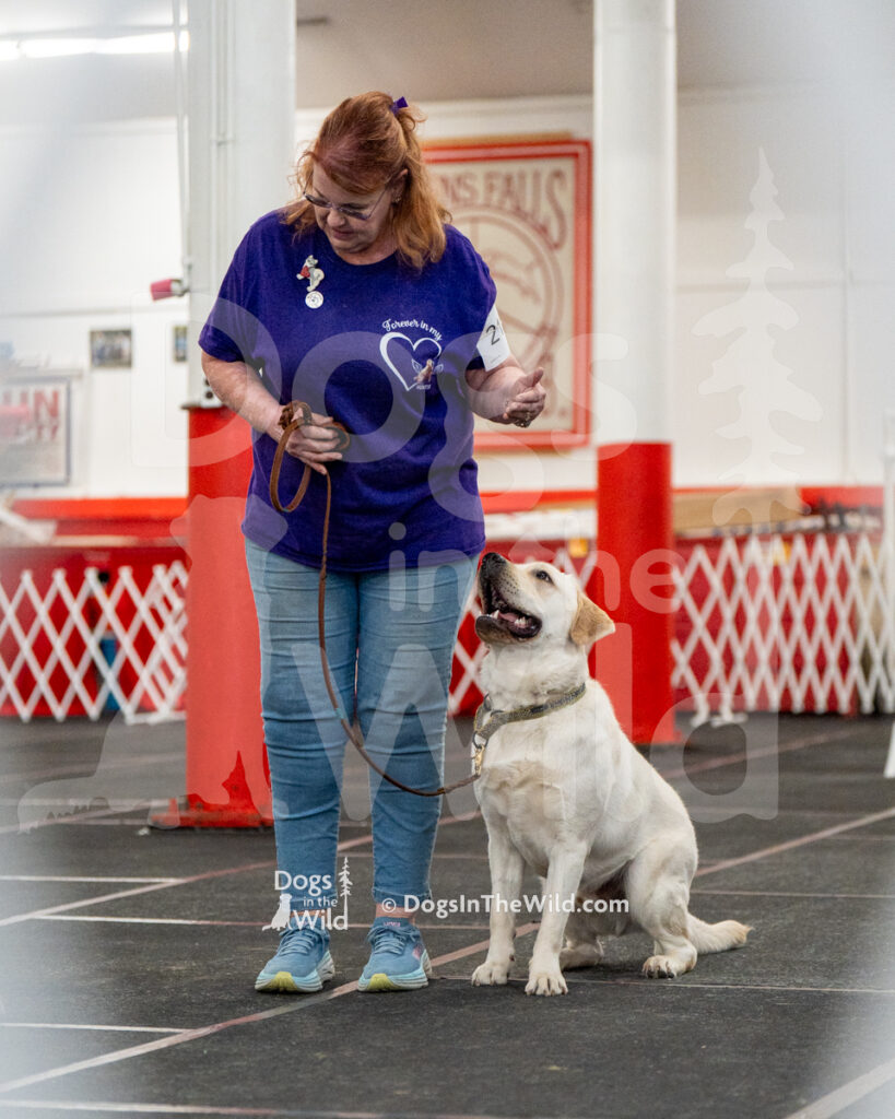 AKC Rally Photography, Glens Falls NY Kennel Club