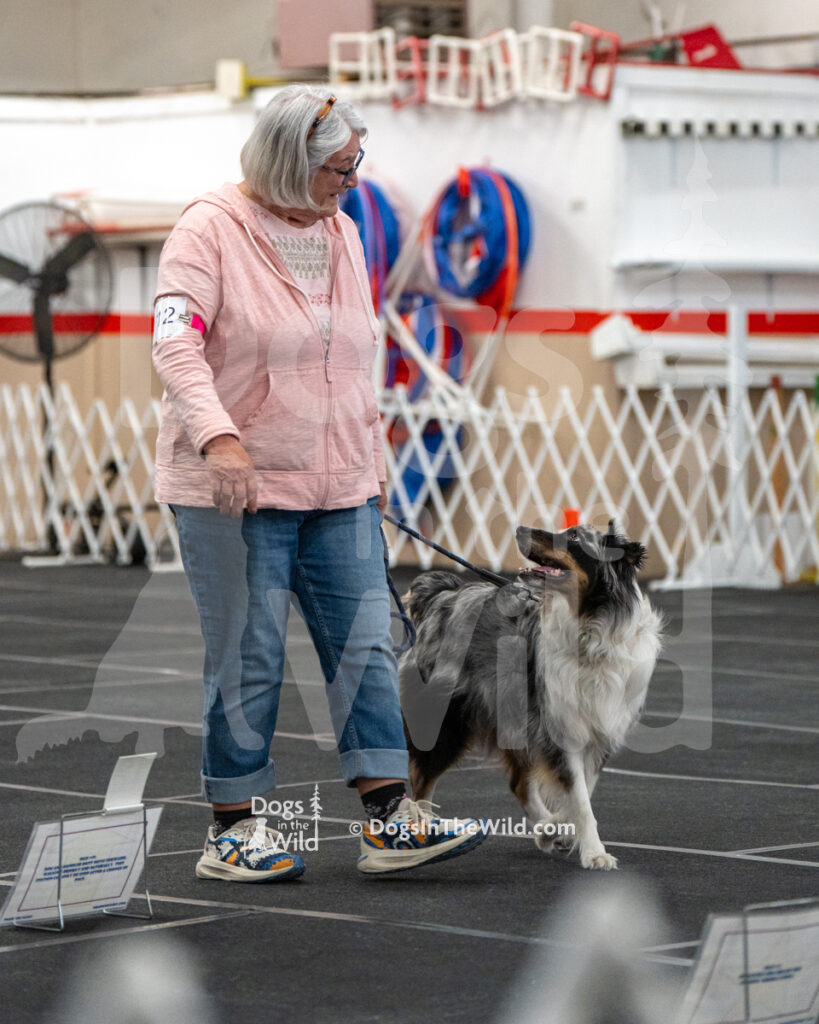 AKC Rally Photography, Glens Falls NY Kennel Club