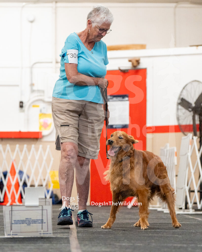 AKC Rally Photography, Glens Falls NY Kennel Club
