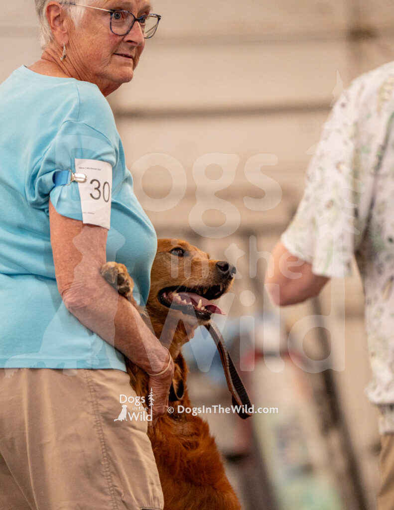 AKC Rally Photography, Glens Falls NY Kennel Club