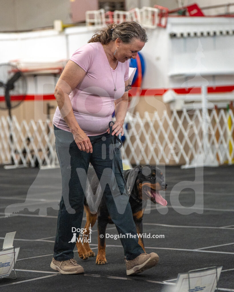 AKC Rally Photography, Glens Falls NY Kennel Club
