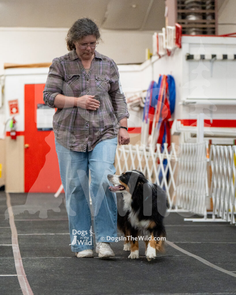 AKC Rally Photography, Glens Falls NY Kennel Club