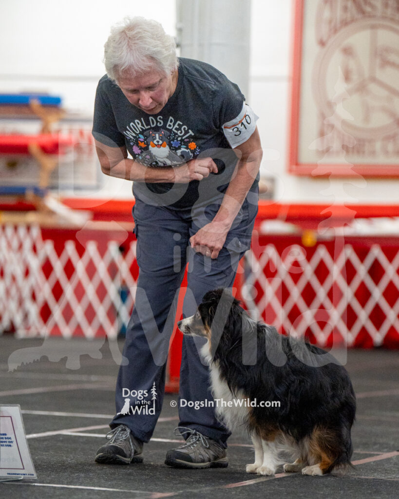 AKC Rally Photography, Glens Falls NY Kennel Club