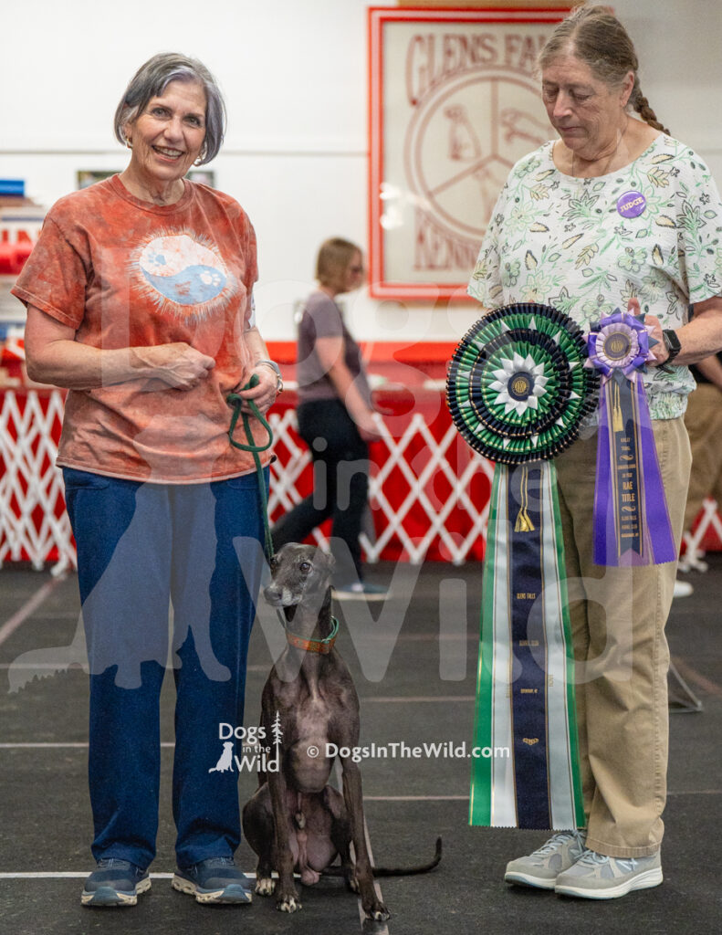 AKC Rally Photography, Glens Falls NY Kennel Club