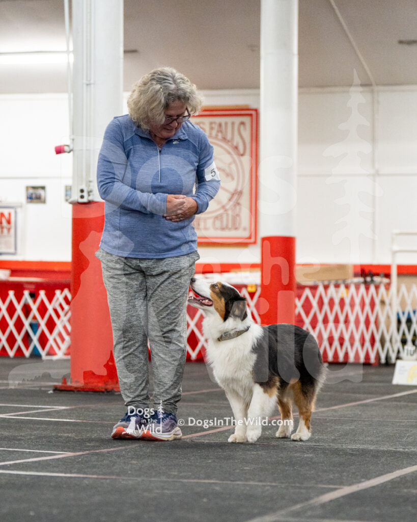 AKC Rally Photography, Glens Falls NY Kennel Club