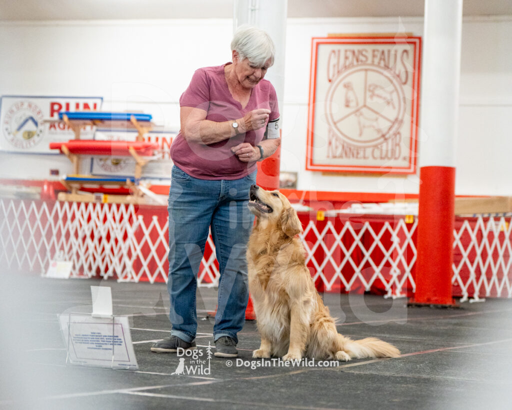 AKC Rally Photography, Glens Falls NY Kennel Club