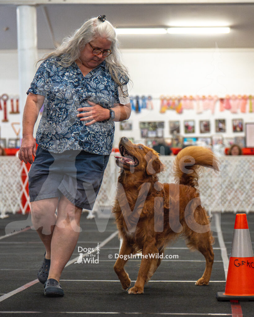 AKC Rally Photography, Glens Falls NY Kennel Club