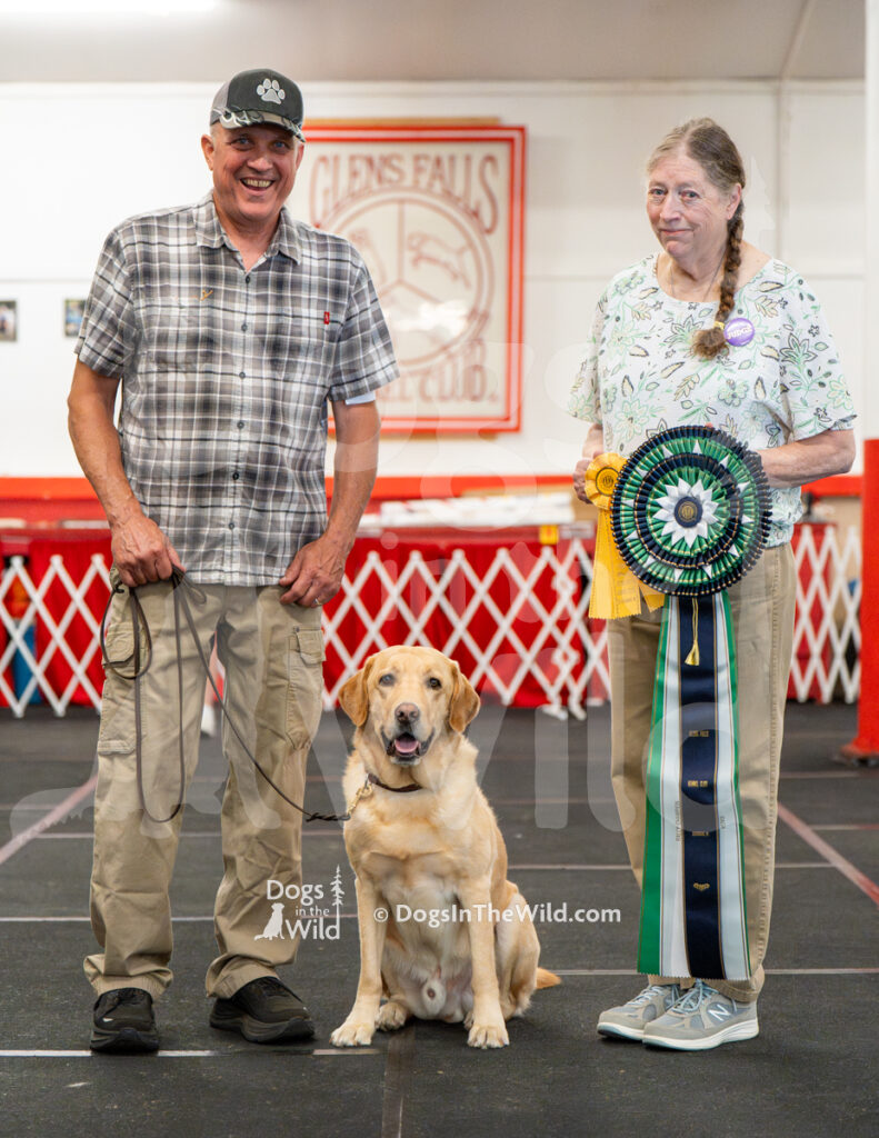 AKC Rally Photography, Glens Falls NY Kennel Club
