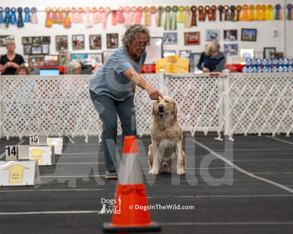 AKC Rally Photography, Glens Falls NY Kennel Club
