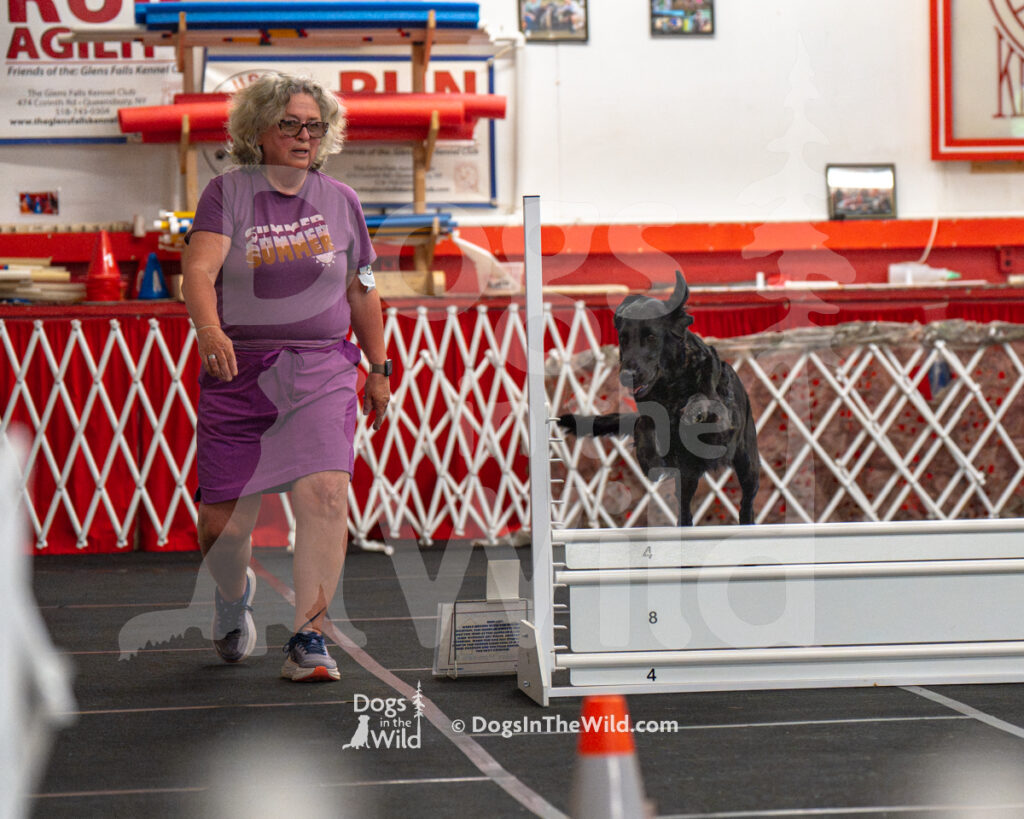 AKC Rally Photography, Glens Falls NY Kennel Club