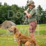 BY-DOG-718-PRC-1