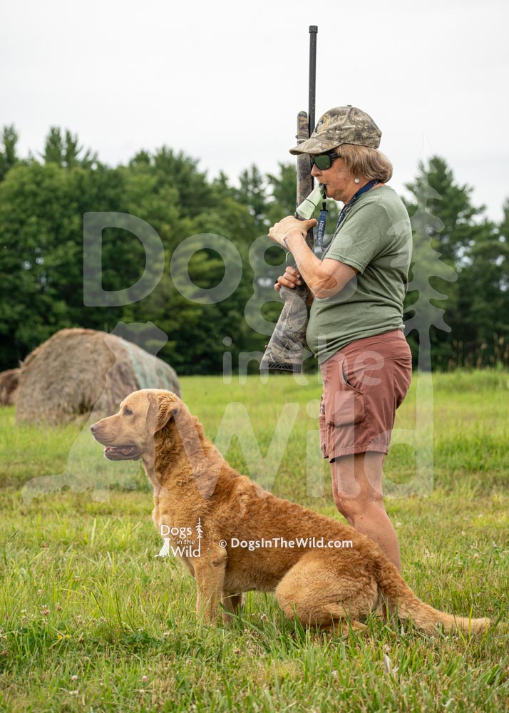BY-DOG-718-PRC-1