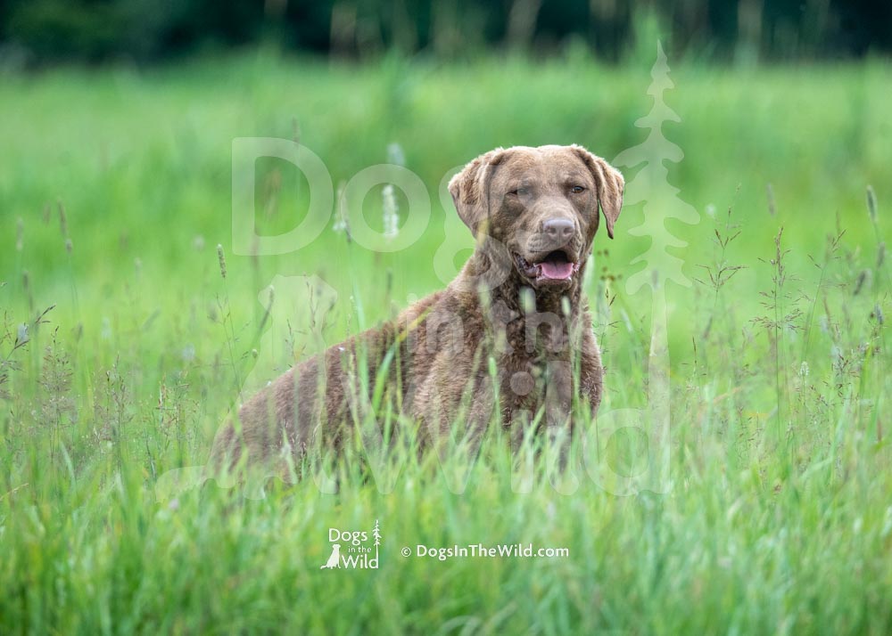 S13-718-PRC-02