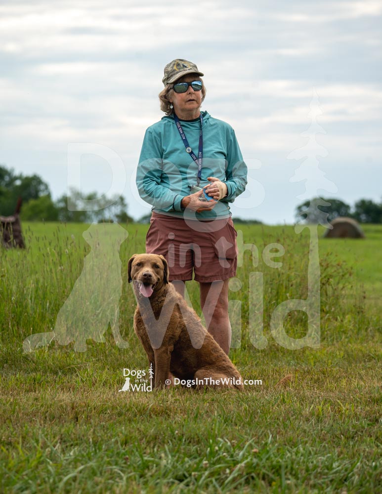 TEST-DOG-718-PRC-3