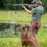 TEST-DOG-718-PRC-4
