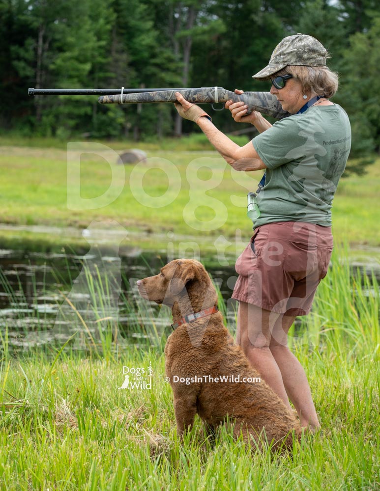 TEST-DOG-718-PRC-4