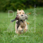 J28-BCRC-8-23-26-2