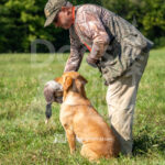 S9-BCRC-8-22-26-04