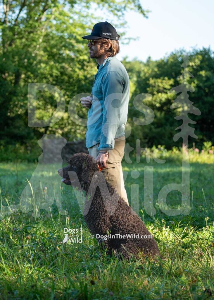 Poole's Ide Prince of Wawayanda, Prince, Hunt Test Photography