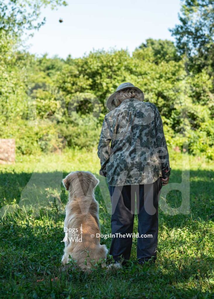 Honora's Born to Run, Boss, Nora Hayes, Hunt Test Photography