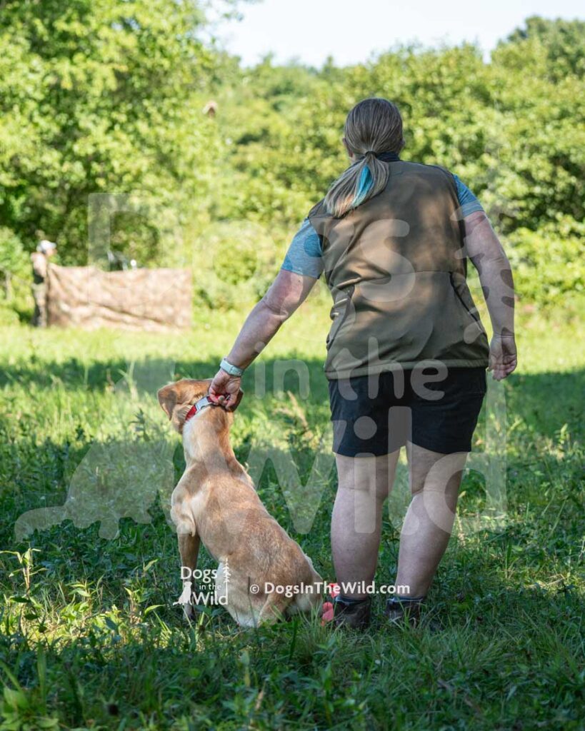 Kickass Sunshine On My Shoulders, John Denver, Laura DeMaio Roy, Hunt Test Photography