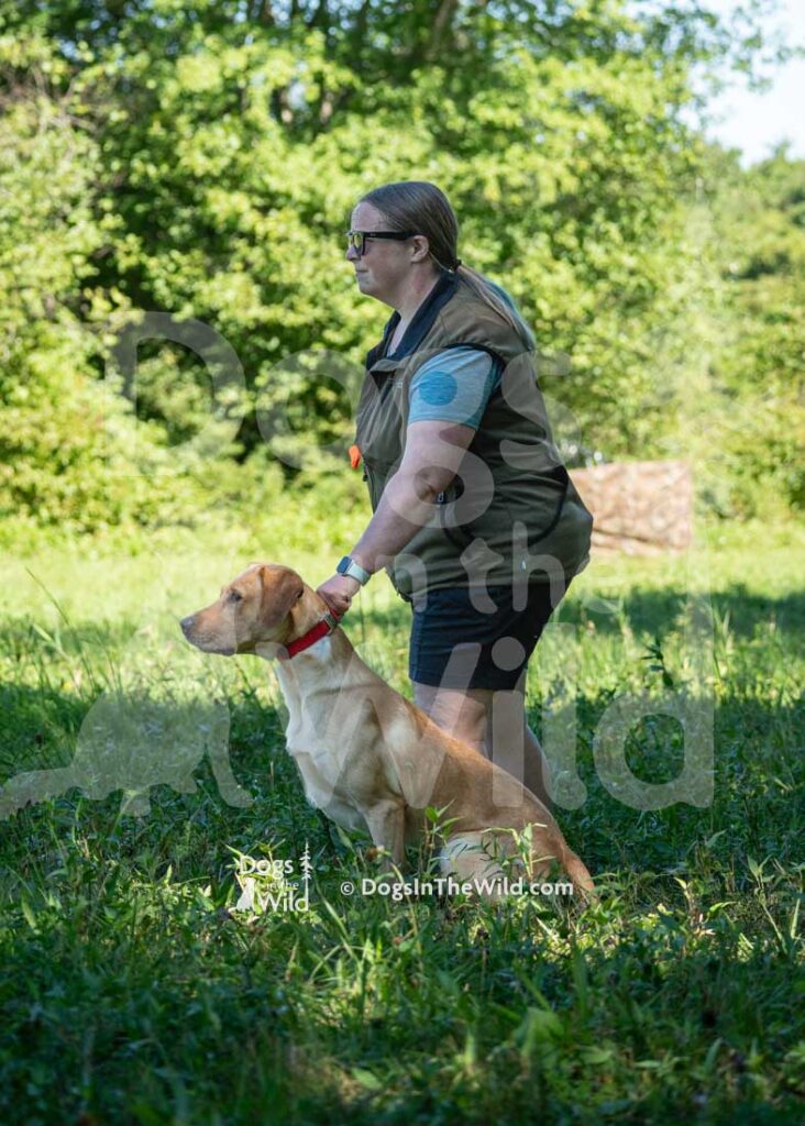 Kickass Sunshine On My Shoulders, John Denver, Laura DeMaio Roy, Hunt Test Photography